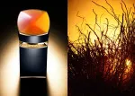 Le Gemme Ambero eau de parfum para hombre 100 ml