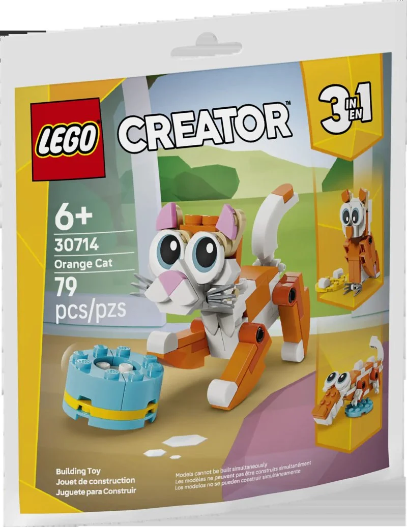 30714 Gato naranja