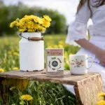 LEROS Té de hierbas Detox herbal - bolsitas de infusión (20 x 1,5 g) - para depurar el organismo