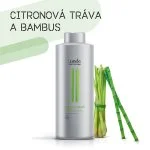 Champú de Volumen Impresionante 250 ml