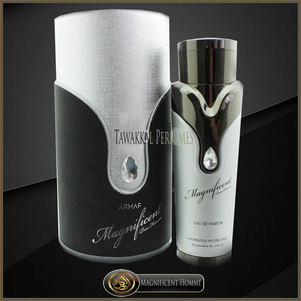Magnificent Pour Homme Eau de Parfum para hombre 100 ml