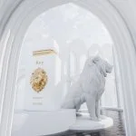 Rey U Agua de Perfume 100 ml