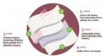 Organyc Braga menstrual de algodón orgánico - ultra absorbente L