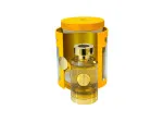 Mango Jugoso agua de perfume unisex 100 ml