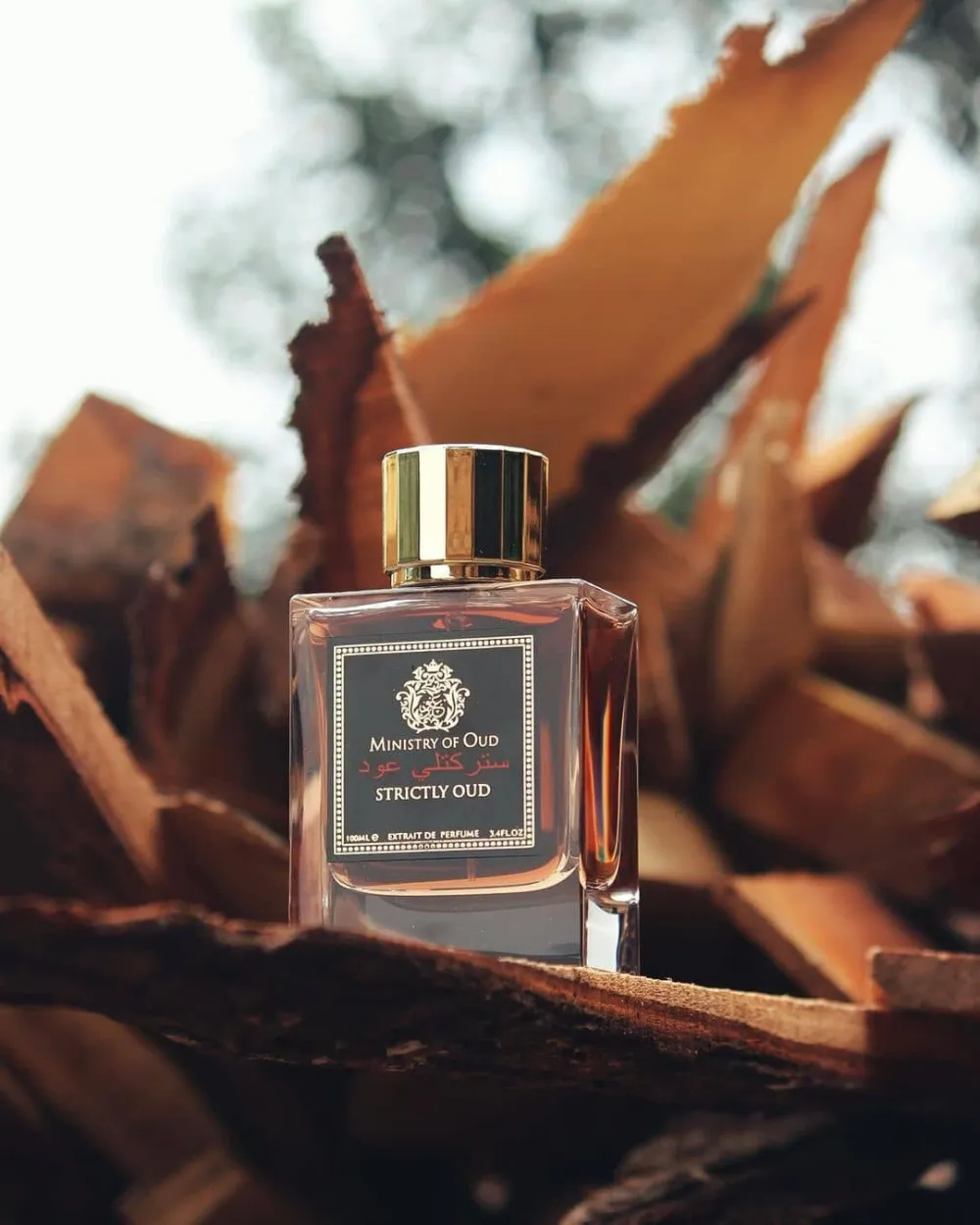 Strictly Oud extracto de perfume unisex 100 ml