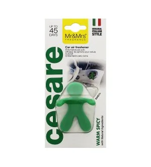 Mr&Mrs Fragrance Cesare fragancia para coche especiada cálida verde