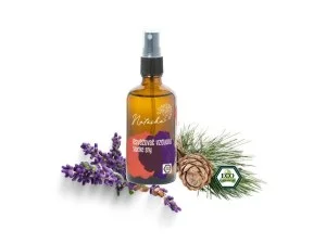 Natasha Ambientador - Dulces sueños (100 ml) - calma y prepara para dormir