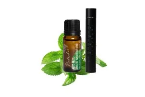 Natasha Set Difusor para coche + aceite Mint Mint - incluye 3 almohadillas de algodón