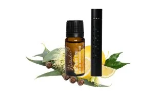 Natasha Set Difusor para coche + aceite Fresco buenos días - incluye 3 almohadillas de algodón