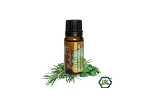 Natasha Mezcla de aceites esenciales (10 ml) - Inspiración y concentración