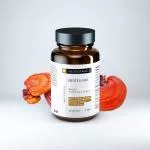 Neobotanics Neocellium (60 cápsulas) - con extractos de hongos vitales y ginseng