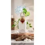 Noble Cedar extracto de perfume unisex 100 ml