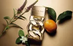 Pour Homme Absolu agua de perfume para hombre 30 ml