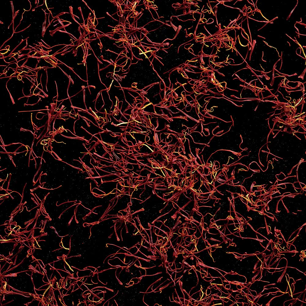 Polo Red agua de tocador para hombres 125 ml