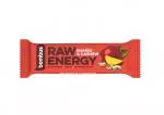 Bombus RAW ENERGY barrita de fruta mango y anacardos