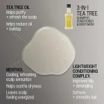 3 en 1 Tea Tree Champú-Acondicionador-Gel de Ducha para hombre 350 ml