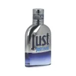 Just Cavalli Him 2013 eau de toilette para hombre 30 ml