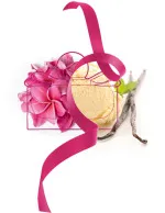 Signorina Ribelle agua de perfume para mujeres 100 ml