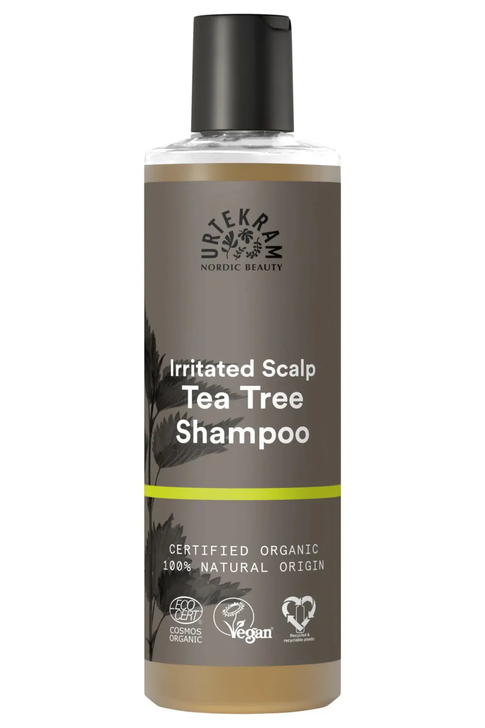 Urtekram Champú árbol del té 250ml BIO