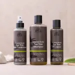 Urtekram Champú árbol del té 250ml BIO