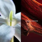Samsara Eau de Toilette para mujer 75 ml