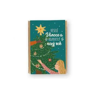 Blossombs Bombas de Semillas - Mini Set de Regalo - Navidad Mágica (4 uds.)