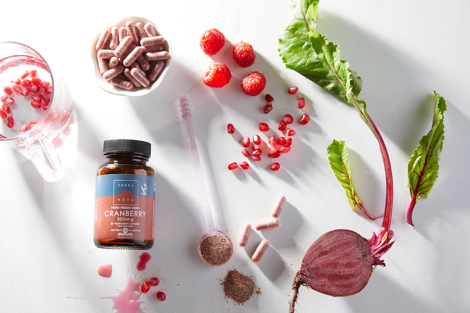 Terranova Health Arándanos rojos liofilizados 300 mg BIO (50 cápsulas) - con antioxidantes
