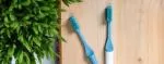 TIO Cepillo de dientes (ultra suave) - azul glaciar - hecho de plantas