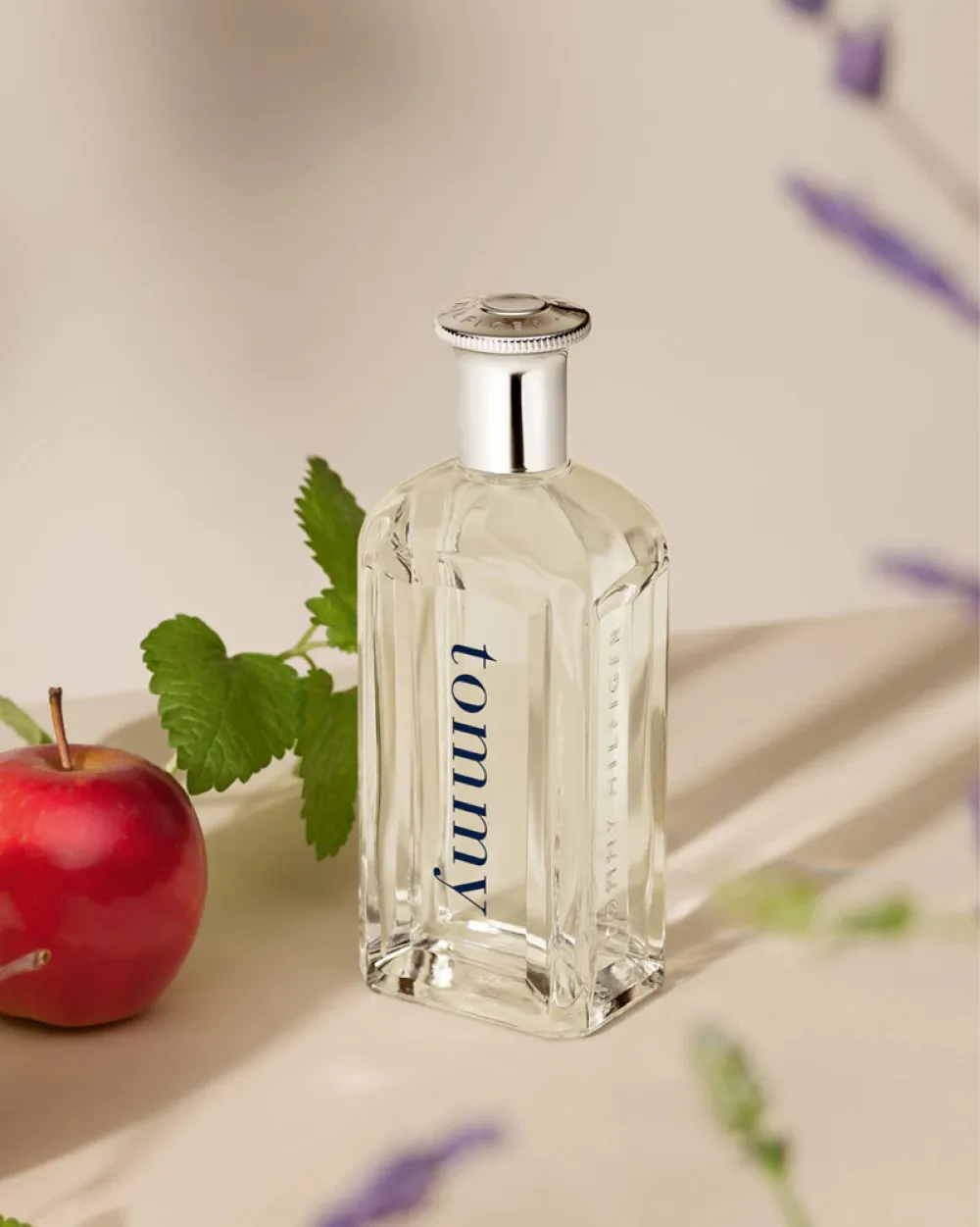 Tommy agua de tocador 100 ml para hombres