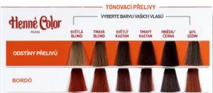Tinte para el cabello de alta protección y cuidado Premium 100ml Burdeos
