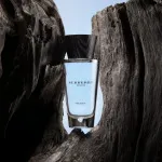 Touch for Men eau de toilette para hombre 100 ml