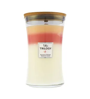 Vela aromática con mecha de madera WoodWick Trilogy Blooming Orchard 609 g