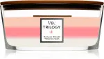 Vela aromática WoodWick Trilogy Blooming Orchard con mecha de madera 453,6 g