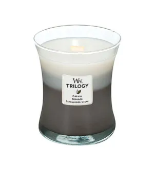 Vela aromática WoodWick Warm Woods con mecha de madera 275 g