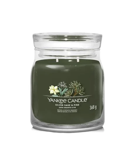 Vela mediana Silver Sage & Pine Signature 368 g
