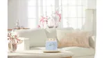 Vela Yankee Candle Clean Cotton firma signature mediana 368 g