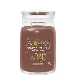Yankee Candle Praline & Birch vela de firma grande 567 g