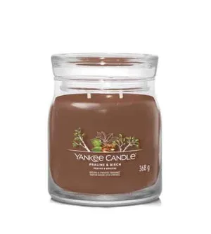 Yankee Candle Praline & Birch vela signature mediana 368 g