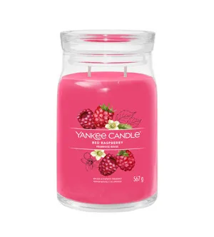 Yankee Candle Red Raspberry vela grande de la línea signature 567 g