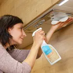 Tierra Verde Desengrasante naranja (spray 750 ml) - práctico limpiador multiuso