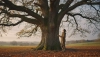 # Lo que un árbol nos enseña sobre el ritmo de la naturaleza y de la vida