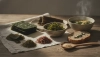 Pruebe las algas marinas en la cocina checa de siete maneras