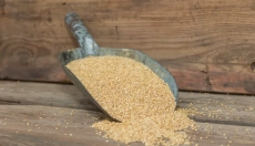 La salud y la ecología van de la mano con el sorgo