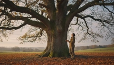 # Lo que un árbol nos enseña sobre el ritmo de la naturaleza y de la vida