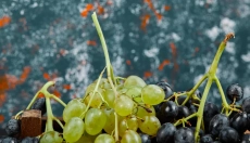 Lo que las embarazadas deben saber sobre las uvas