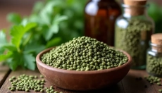 Cómo usar correctamente las semillas de ortiga para su salud