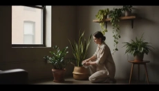 # Které pokojové rostliny zvolit do tmavších bytů

# Qué plantas de interior elegir para apartamento