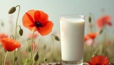Qué ofrece la leche de amapola y cómo utilizarla