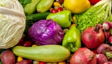 Digestión saludable gracias a las enzimas pancreáticas