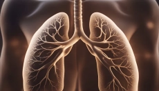 ¿Cómo afectan las clamidias pulmonares a nuestra salud y cómo tratarlas?